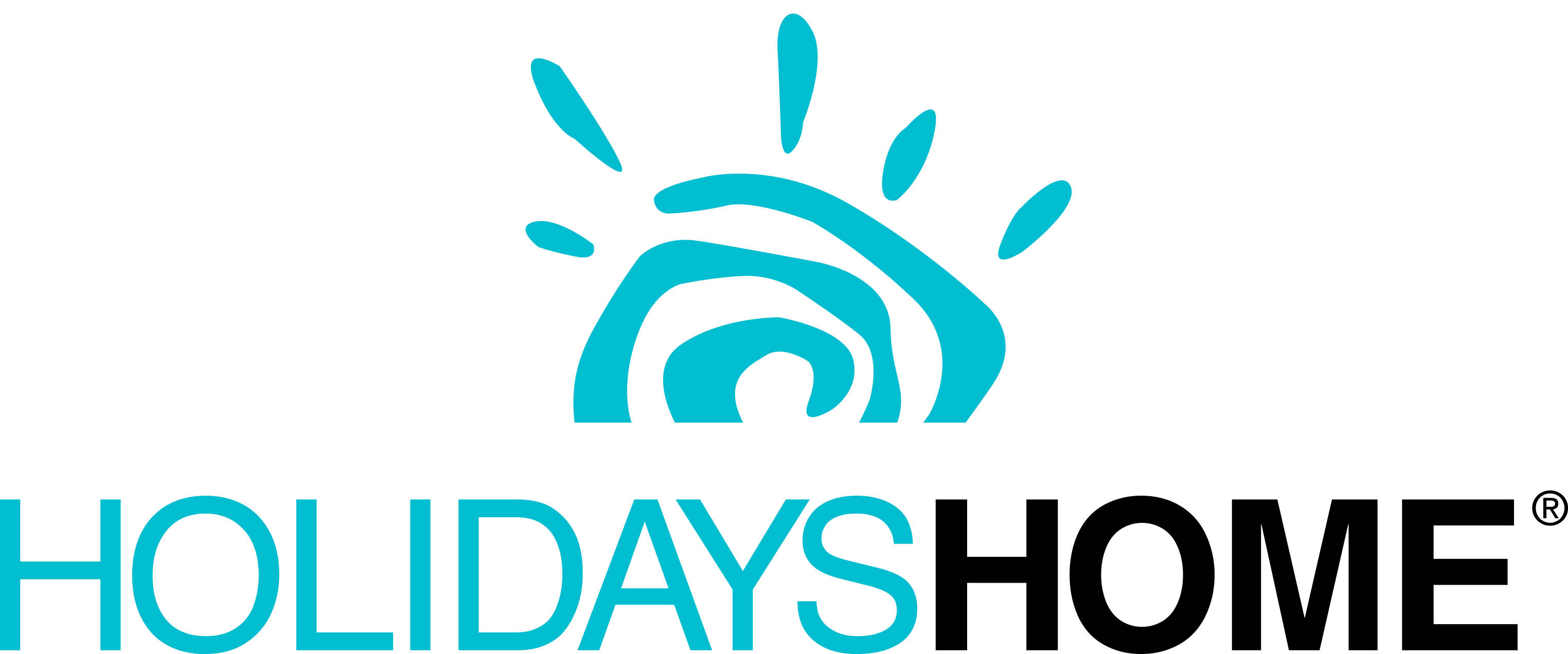 Logo Holidays Home (6)